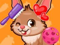Bunny Care