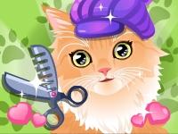 Kitty Groomer