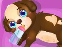 Cute Baby Puppy Care