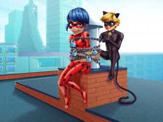 Cat Noir saving Ladybug