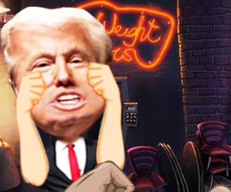 Donald Trump  Brawl