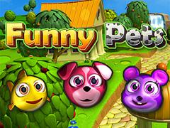 Funny Pets