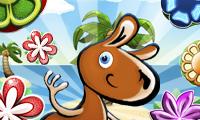 Kango Islands