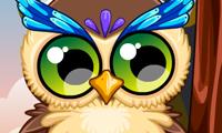 Cute Owl 
