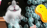 Paws to Beauty 2