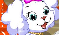 Doggy Dressup