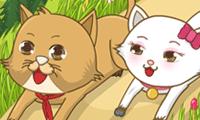 Kitty Kingdom