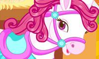 Cute Horse Dress Up