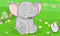 Baby Animal Shelter