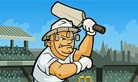 Cricket World Cup 2011