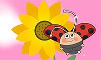 Romance Flower