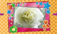 Picture Frame Decorator