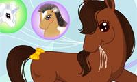 Ponies in the City