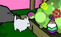 Puppy Go Seek