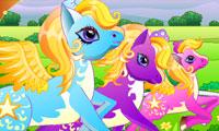 Pony Run