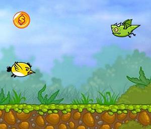 Birds attacks