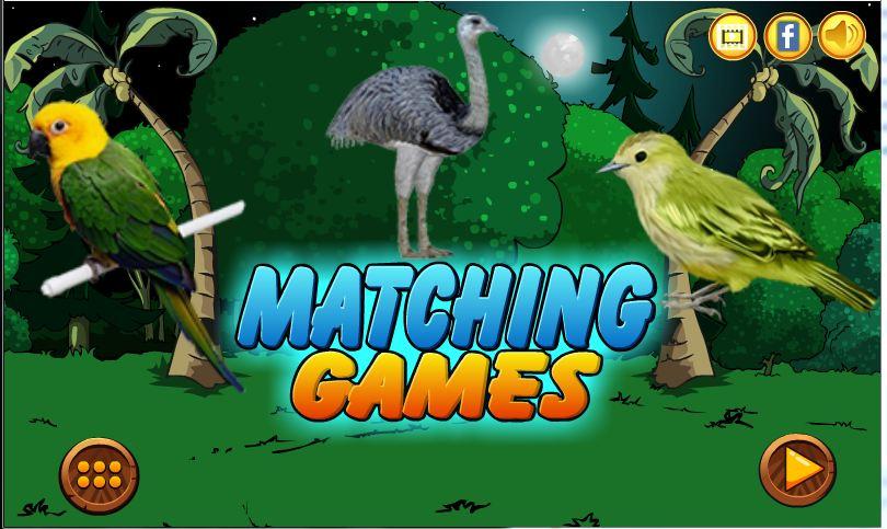 Birds Matching Games 