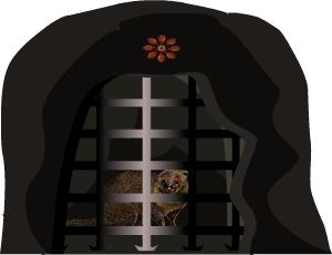 Mangoos Escape : Escape Games 45