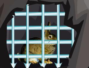 Rabbit Escape : Escape Games 46