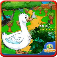 Sivi Green Garden Escape