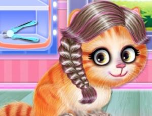 Kitty Salon Hair