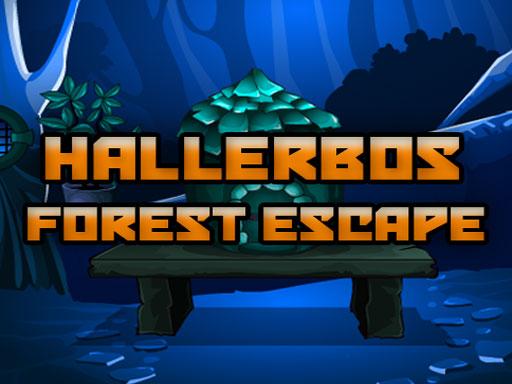 Hallerbos Forest Escape