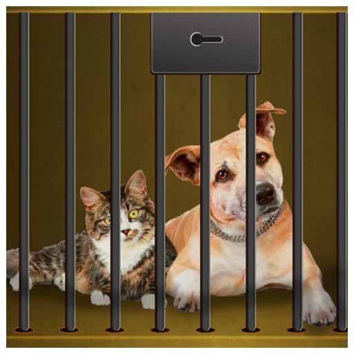 Rescue our pets